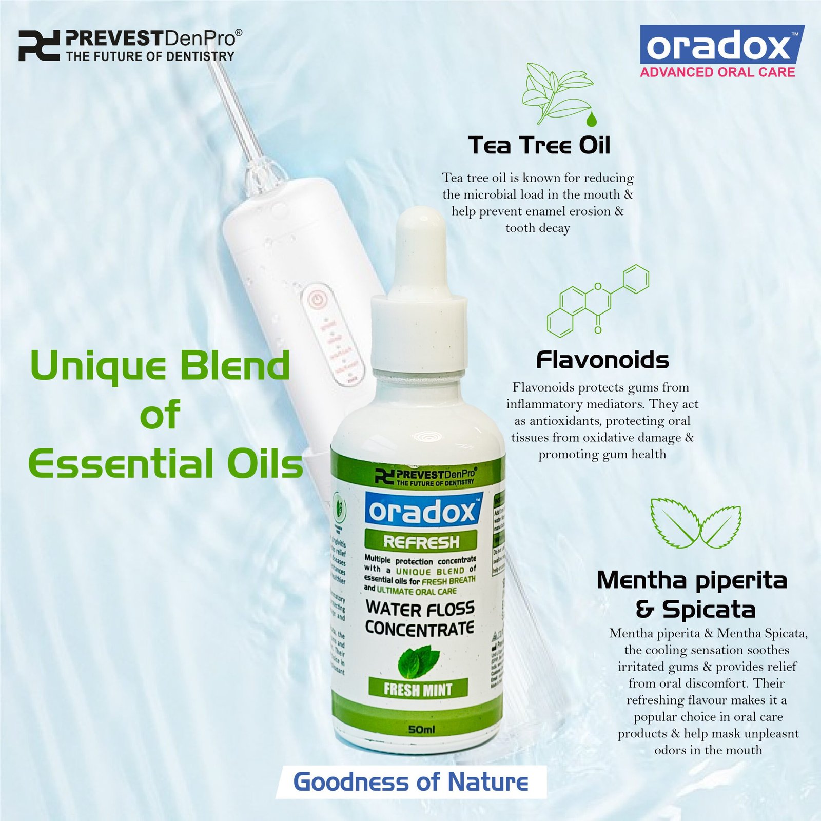 Oradox Refresh - Image 3